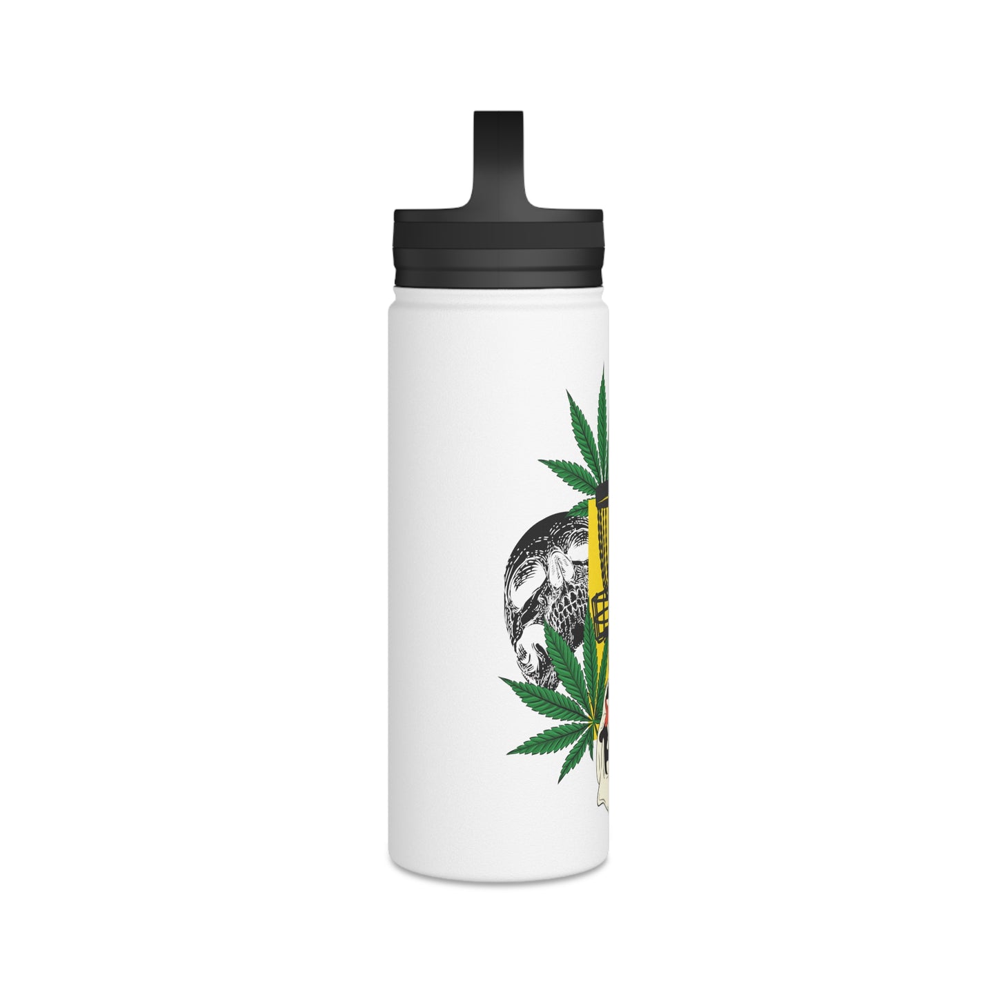 Stainless Steel Water Bottle, Handle Lid