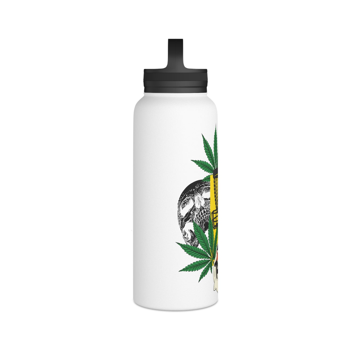 Stainless Steel Water Bottle, Handle Lid